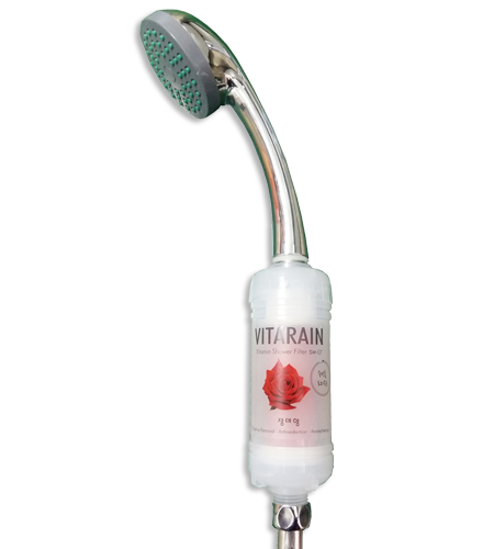 Correze shower filter